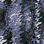 edgepage.gif