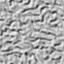 worm.gif
