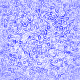 smbluewhite_paper.gif