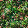 plants2.gif