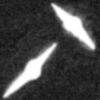 plate02.gif