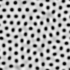 spots01.gif