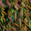 strands1.gif