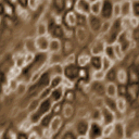 cells.gif