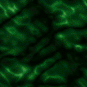 sea2a.gif