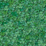 clover1.gif