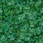 clover2.gif