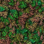 coral4.gif