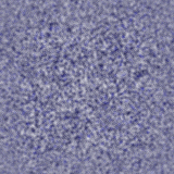 bluewhite_paper.gif