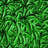 plants3.gif