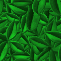 plants4.gif